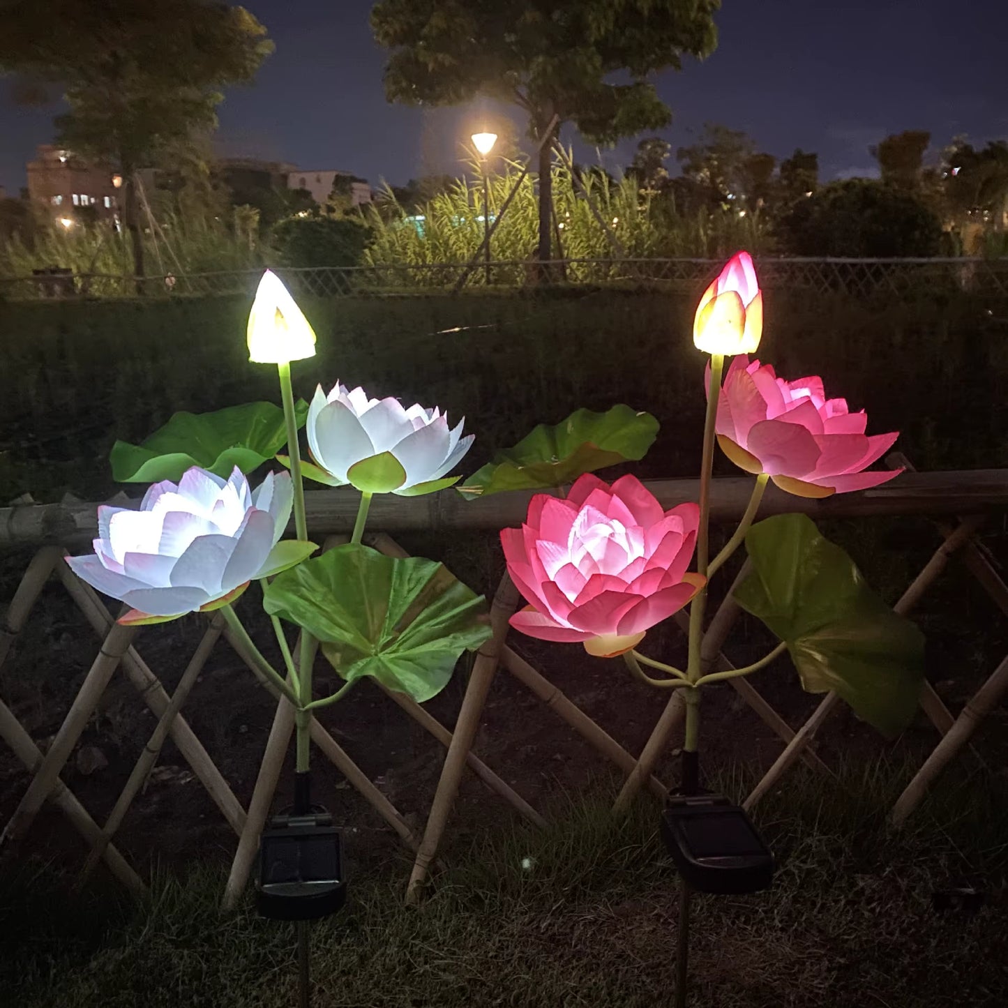 LED lotus lamp