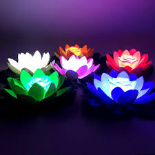 LED lotus lamp
